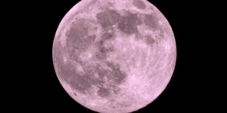 Luna de Flores 2025; ¿Cuántos días faltan para ver el fenómeno astronómico en México?