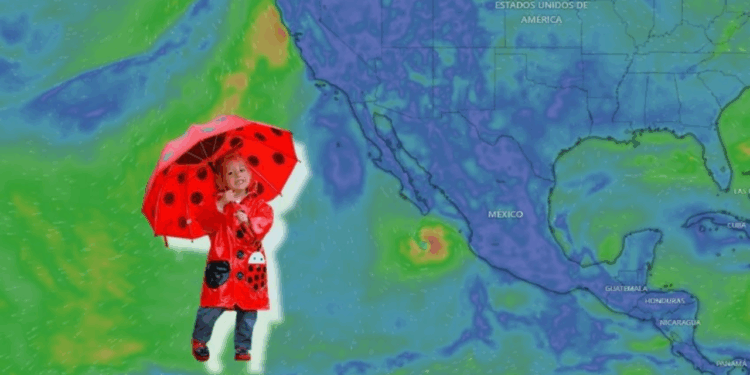 Tormenta tropical Alvin: Esta será su TRAYECTORIA HOY, lluvias y afectaciones