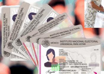 Diputado propone cancelar INE de ciudadanos que no voten en elecciones: Así sería la sanción