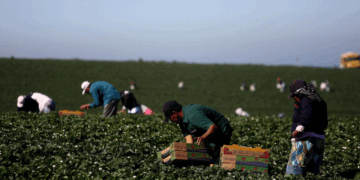 Sheinbaum subraya a Carney la importancia del T-MEC y las visas de trabajo para mexicanos