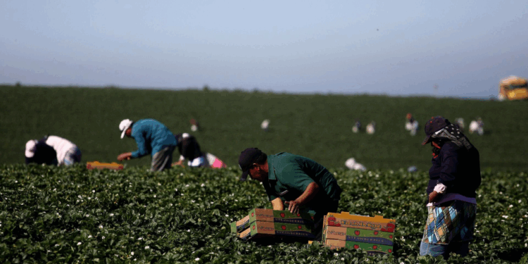 Sheinbaum subraya a Carney la importancia del T-MEC y las visas de trabajo para mexicanos