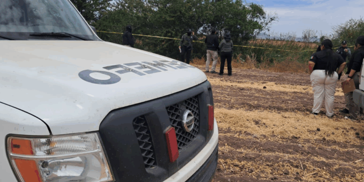 Localizan a una persona ejecutada durante bloqueos en la Maxipista