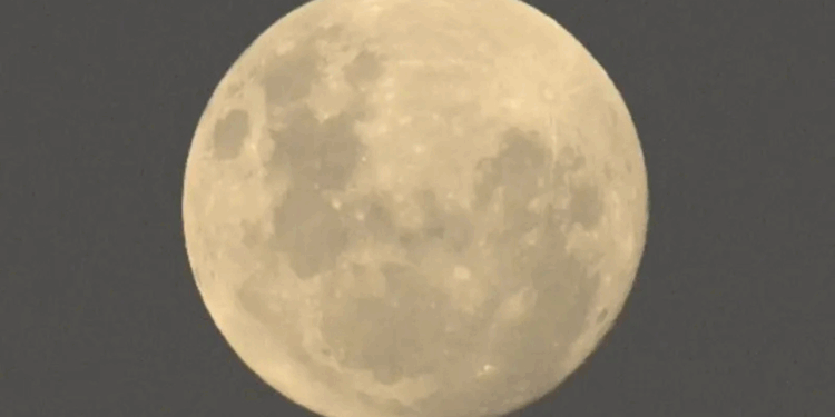 Luna llena de mayo 2025: ¿A qué hora ver y cómo ver la Luna de Flores?