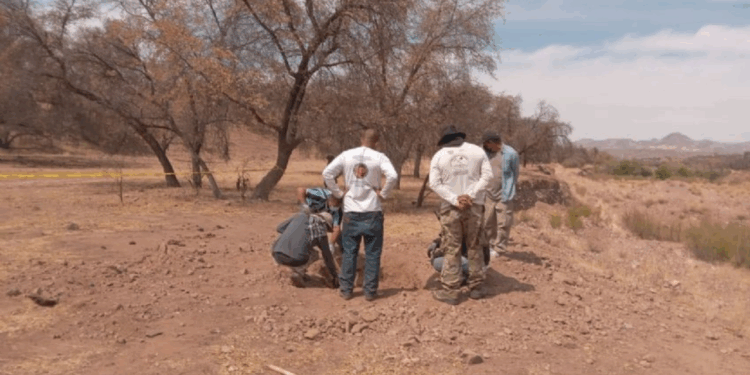 Localizan fosas clandestinas en Nogales y Hermosillo