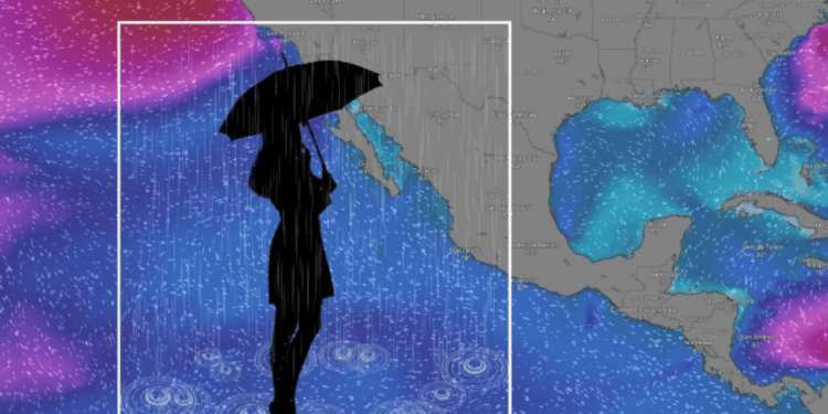 Esta es la fecha en la que inicia el Monzón Mexicano en 2025, ¿Qué es este fenómeno?