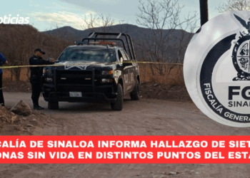 Fiscalía de Sinaloa informa el hallazgo de siete personas sin vida en distintos puntos del Estado