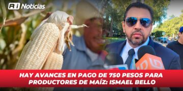 Hay avances en pago de 750 pesos para productores de maíz: Ismael Bello