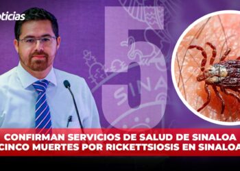 Confirman SSA cinco muertes por rickettsiosis en Sinaloa: Salud estatal