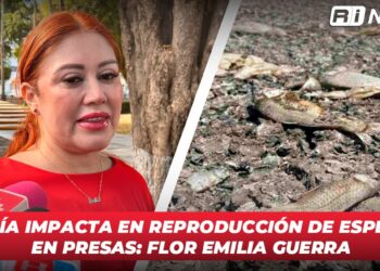Sequía impacta en reproducción de especies en presas: Flor Emilia Guerra