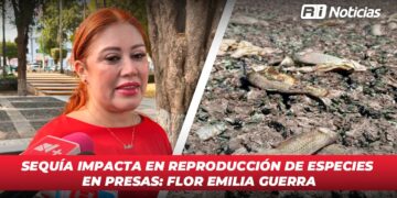 Sequía impacta en reproducción de especies en presas: Flor Emilia Guerra
