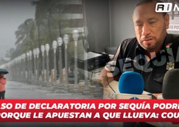 Es necesario que haya una ley que dé certeza a productores agrícolas en Sinaloa: COUC