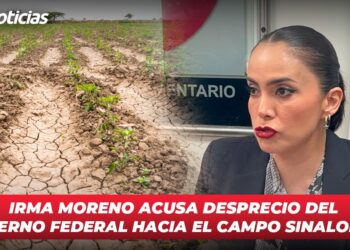 Es necesario que haya una ley que dé certeza a productores agrícolas en Sinaloa: COUC