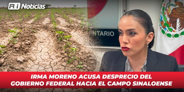 Es necesario que haya una ley que dé certeza a productores agrícolas en Sinaloa: COUC