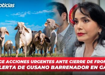 PRI exige acciones urgentes ante cierre de fronteras por alerta de gusano barrenador en ganado