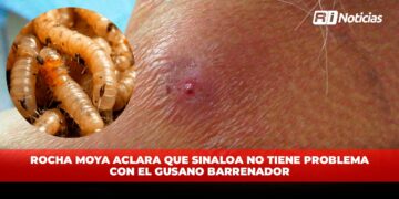 Rocha Moya aclara que Sinaloa no tiene problema con el Gusano Barrenador