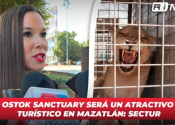 En Mazatlán hay cabida para todo tipo de turismo: SECTUR