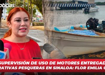 Hay supervisión de uso de motores entregados a cooperativas pesqueras en Sinaloa: Flor Emilia Guerra