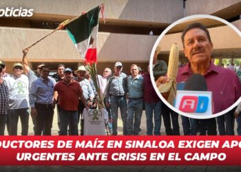 Productores de maíz en Sinaloa exigen apoyos urgentes ante crisis en el campo