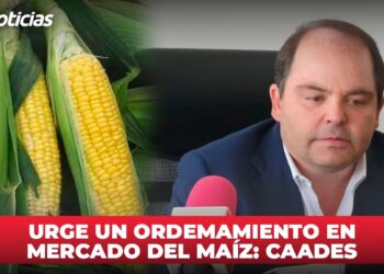 Urge un ordenamiento en mercado del maíz: CAADES