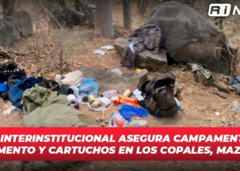Grupo Interinstitucional asegura campamento con armamento y cartuchos en Los Copales, Mazatlán