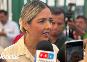 Remplazan las palmeras taladas frente a Parque Ciudades Hermanas en Mazatlán