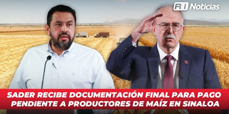 SADER recibe documentación final para pago pendiente a productores de maíz en Sinaloa