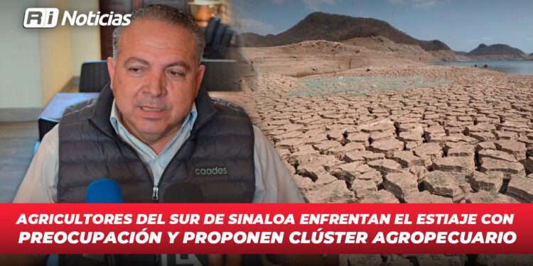 Agricultores del sur de Sinaloa enfrentan el estiaje con preocupación y proponen clúster agropecuario