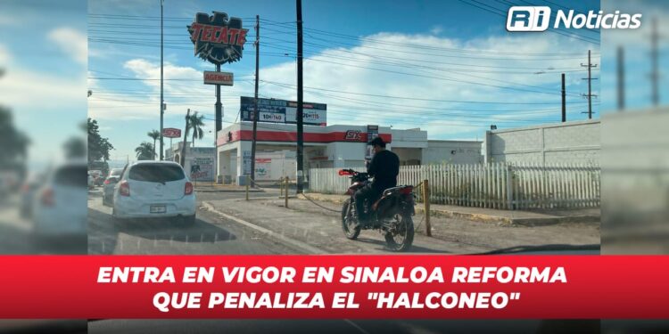Entra en vigor en Sinaloa Reforma que penaliza el “Halconeo”