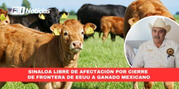 Sinaloa libre de afectación por cierre de frontera de EEUU a ganado mexicano
