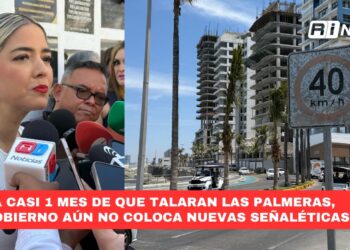 A casi 1 mes de que talaran las palmeras, Gobierno aún NO coloca nuevas señaléticas