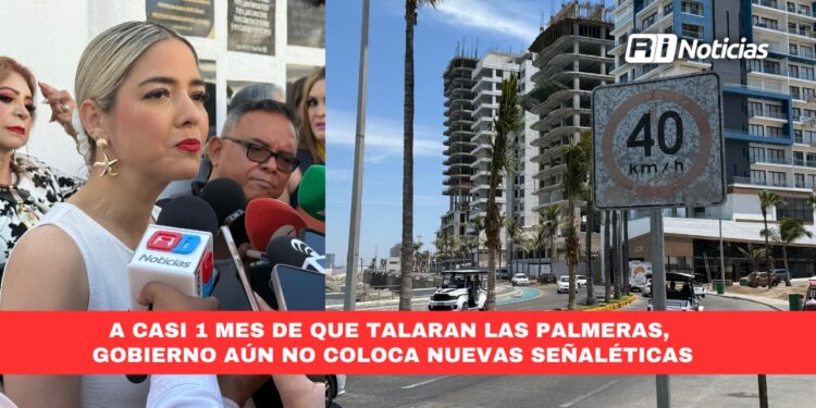 A casi 1 mes de que talaran las palmeras, Gobierno aún NO coloca nuevas señaléticas