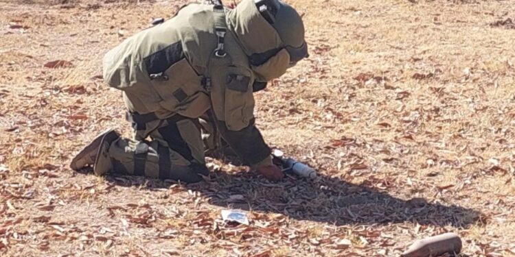 Grupo Interinstitucional destruye 23 artefactos explosivos asegurados en Culiacán y Choix