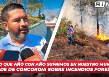 “Es algo que año con año sufrimos en nuestro municipio”: Alcalde de Concordia sobre incendios forestales