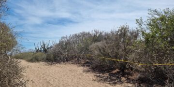 Localizan dos osamentas en playa de Eldorado, Sinaloa