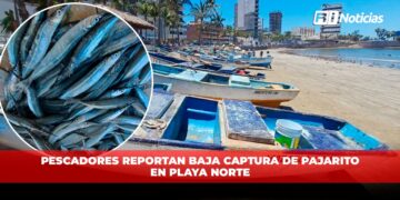 Pescadores reportan baja captura de pajarito en Playa Norte