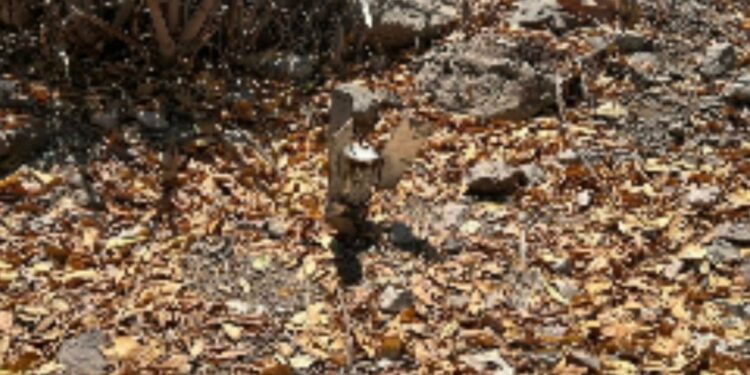 Ejército Mexicano asegura y desactiva artefacto explosivo en Elota