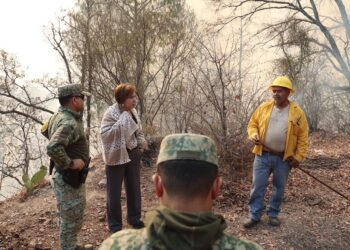 El General Porfirio Fuentes junto a sus equipos acude personalmente a reforzar las brigadas contra el incendio forestal en El Palmito: SEBIDES