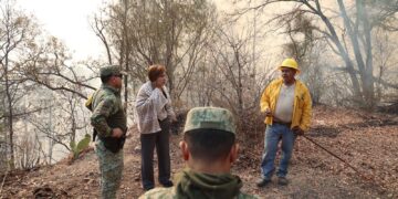 El General Porfirio Fuentes junto a sus equipos acude personalmente a reforzar las brigadas contra el incendio forestal en El Palmito: SEBIDES