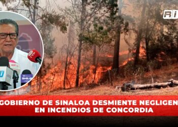 Gobierno de Sinaloa desmiente negligencia en incendios de Concordia