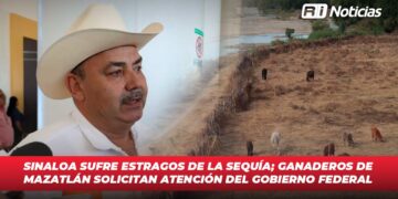 Sinaloa sufre estragos de la sequía; Ganaderos de Mazatlán solicitan atención del gobierno federal