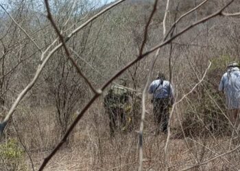 Encuentran dos osamentas en la carretera Las Higueras-Miravalles en Mazatlán