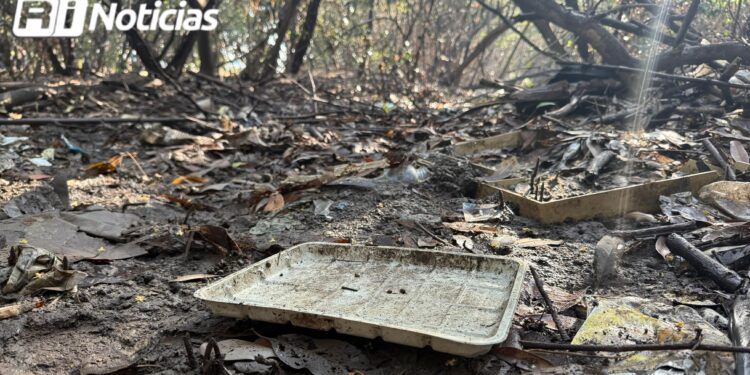 Ropa y unicel, los desperdicios que predominan en el Mangle del Infiernillo