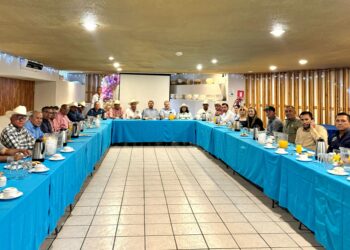 Hasta los 6,300 pesos se comercializa el maíz en Sinaloa al bajar de 6 millones de toneladas a 1.7 la producción: Ismael Bello Esquivel