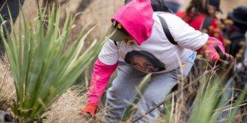 Ajustan reformas contra el delito de desaparición con la opinión de colectivos de madres y padres buscadores