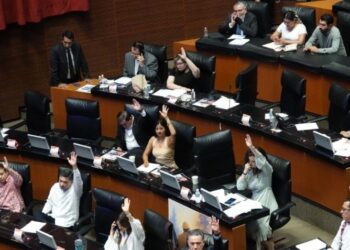 Senado dialoga sobre servicios públicos de radiodifusión