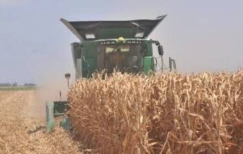 Pide AARC frenar la violencia en el valle de Culiacán