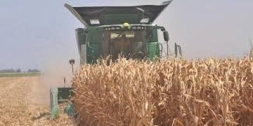 Pide AARC frenar la violencia en el valle de Culiacán