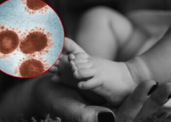 56 bebés de menos de un año han muerto por tos ferina en 2025