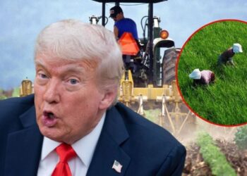 Trump dice que solo busca deportar a criminales; no quiere “Que las granjas quiebren”