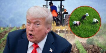 Trump dice que solo busca deportar a criminales; no quiere “Que las granjas quiebren”